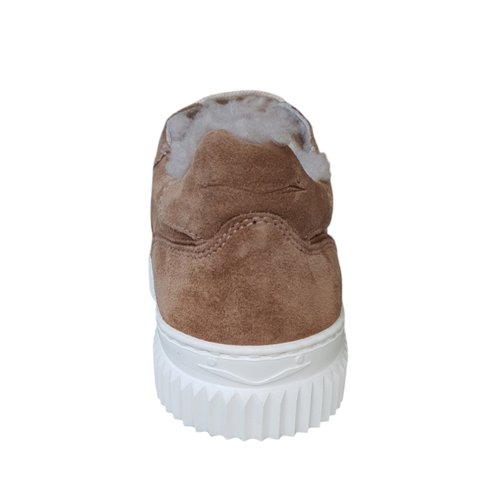 0012017113.03.0D05 Tabacco